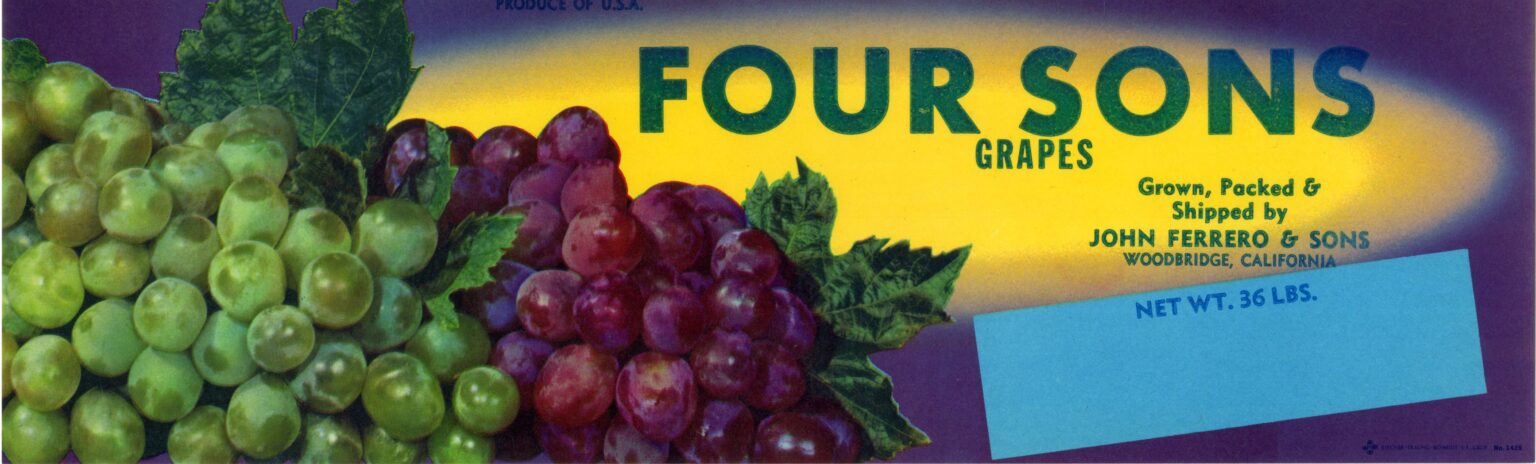 Four Sons Four Sons